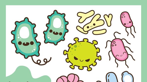 Patologias - Guess Who Template