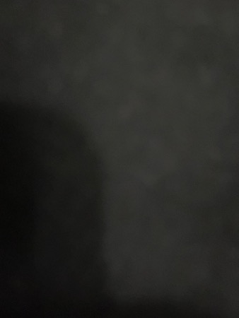 ALANNANANAN - Guess Who Template