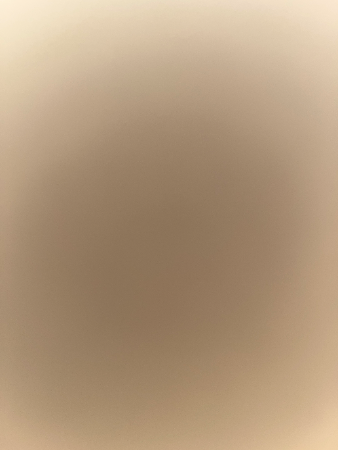 T - Guess Who Template