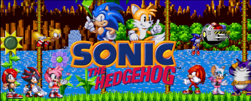 Sonic characters - Guess Who Template