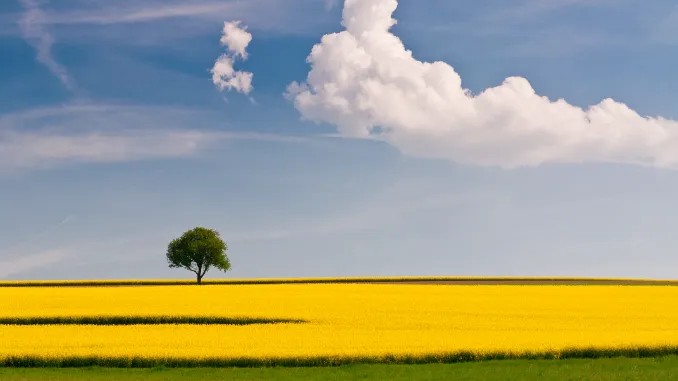 Guess the landscape - Guess Who Template