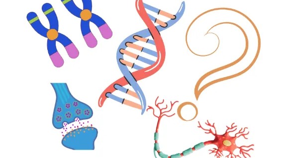 Biology 1113 Exam 2 Review  - Guess Who Template