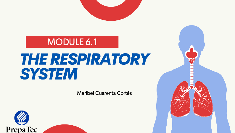 Respiratory System