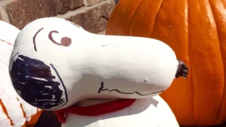 MDN - Guess Who Template