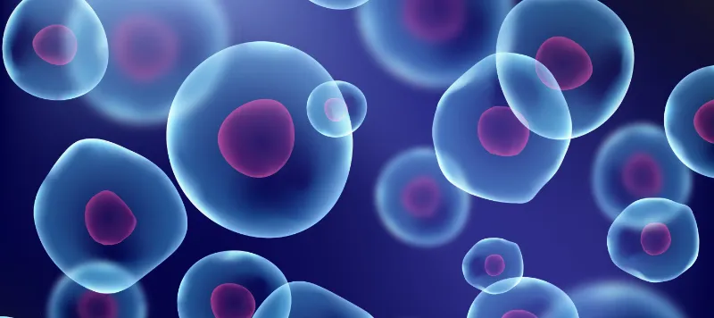 Guess the biology term  - Guess Who Template