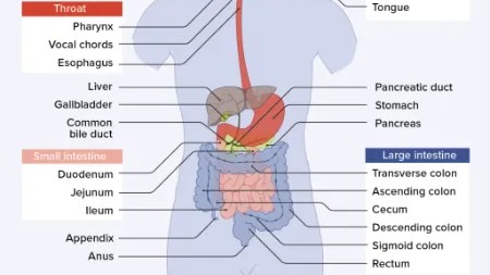 2026 GNA SIGS WK 5 - Guess Who Template