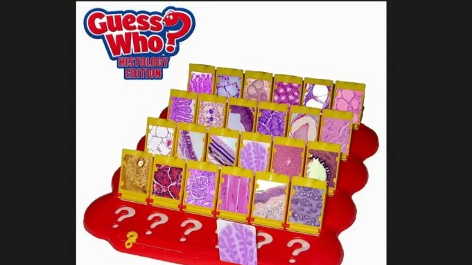 Histology - Guess Who Template