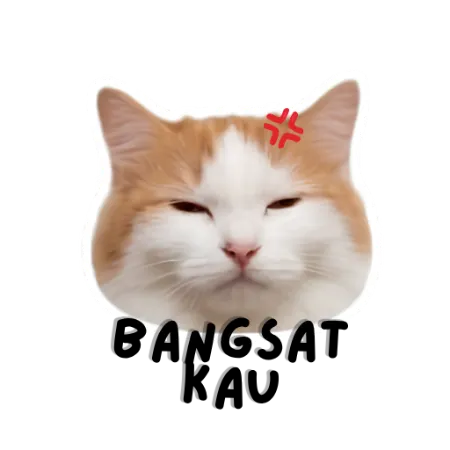 pui
