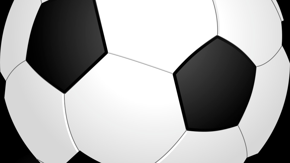 Footballers (Soccer)