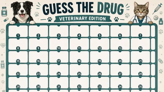 Leki - Guess Who Template