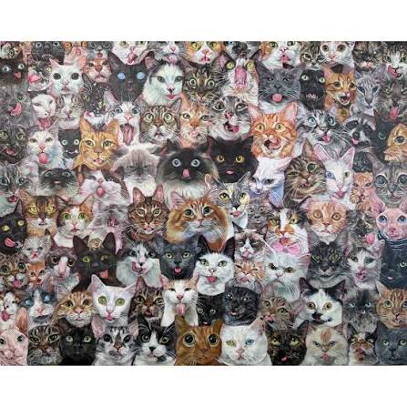 meme CATs - Guess Who Template